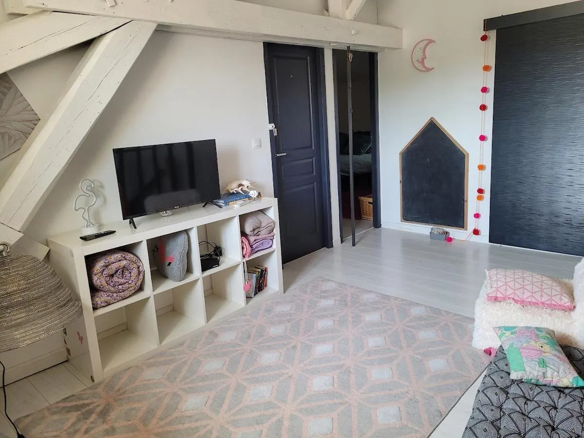 Les Lauriers - 3 Bedrooms, Hyper-Centre And Pool Castres  Hébergement de vacances Castres (Tarn)