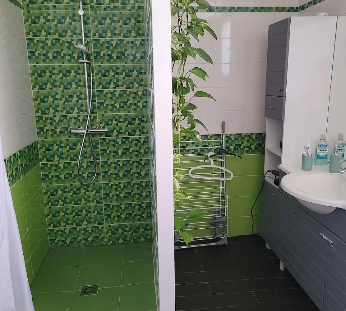 Les Lauriers - 3 Bedrooms, Hyper-Centre And Pool Castres  Hébergement de vacances Castres (Tarn)